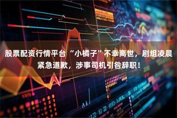 股票配资行情平台 “小橘子”不幸离世，剧组凌晨紧急道歉，涉事司机引咎辞职！