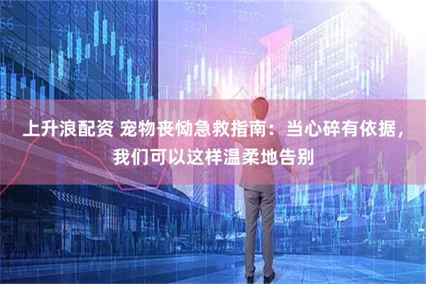 上升浪配资 宠物丧恸急救指南：当心碎有依据，我们可以这样温柔地告别