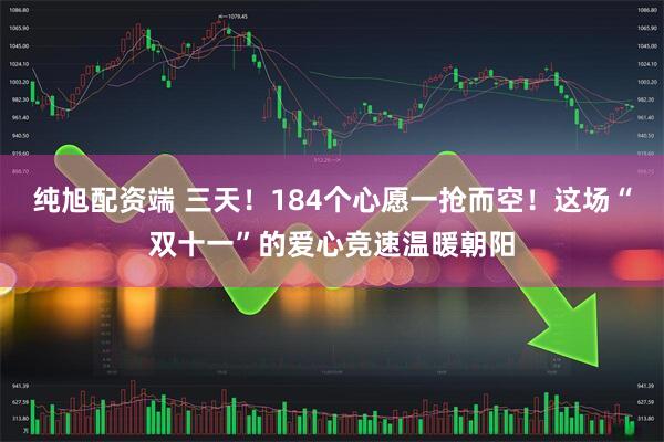 纯旭配资端 三天！184个心愿一抢而空！这场“双十一”的爱心竞速温暖朝阳