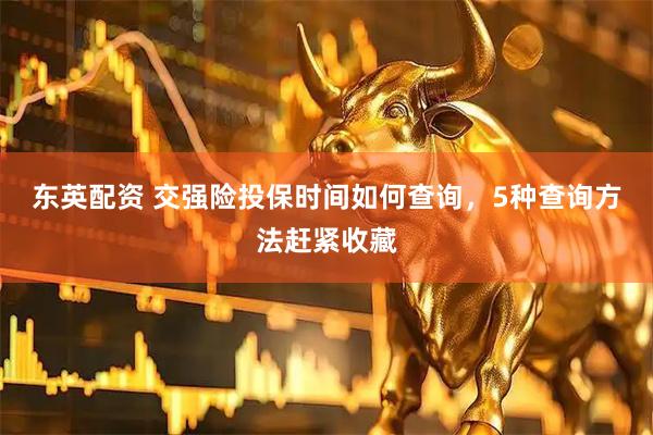 东英配资 交强险投保时间如何查询，5种查询方法赶紧收藏
