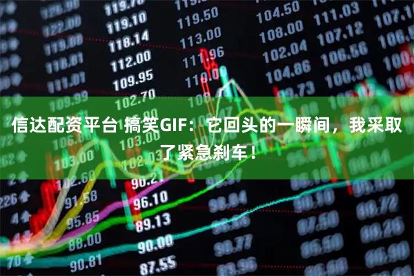 信达配资平台 搞笑GIF：它回头的一瞬间，我采取了紧急刹车！