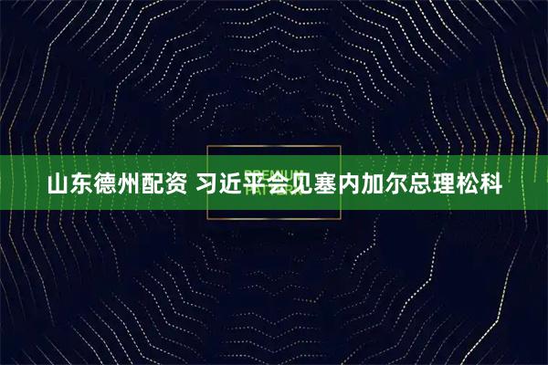 山东德州配资 习近平会见塞内加尔总理松科