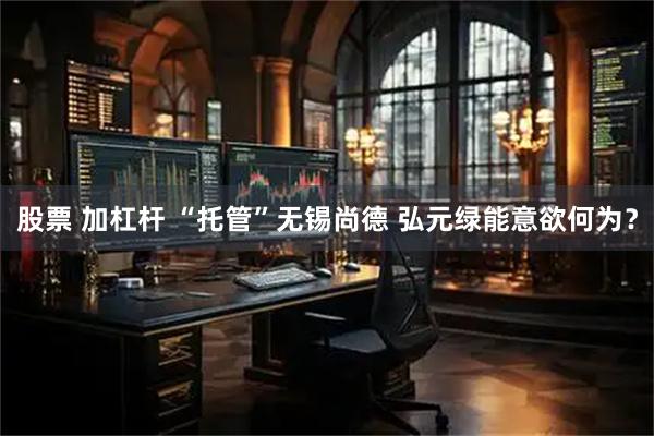 股票 加杠杆 “托管”无锡尚德 弘元绿能意欲何为？