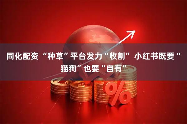 同化配资 “种草”平台发力“收割” 小红书既要“猫狗”也要“自有”