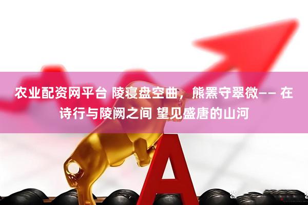 农业配资网平台 陵寝盘空曲，熊罴守翠微—— 在诗行与陵阙之间 望见盛唐的山河